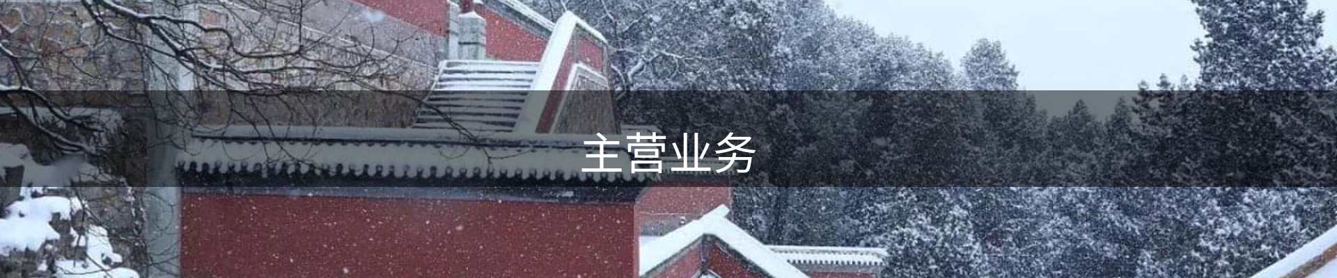 主营业务