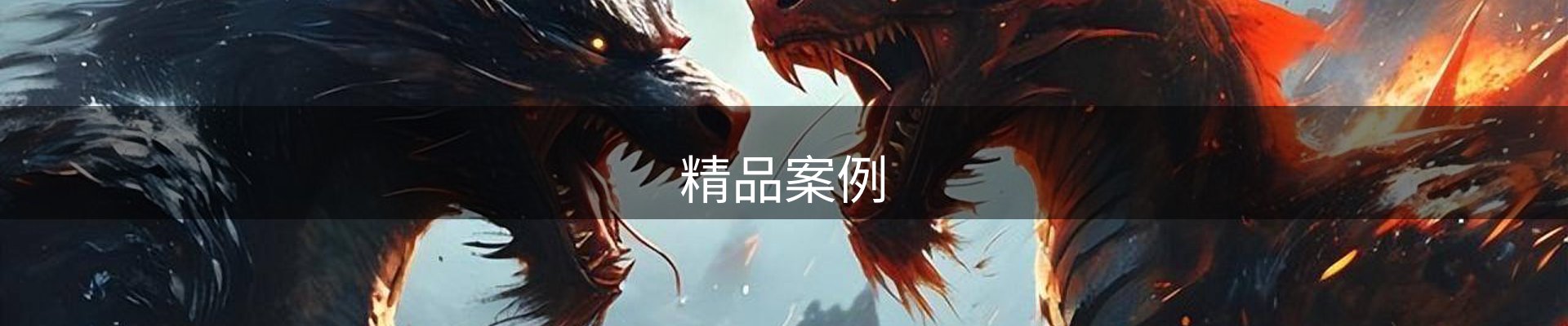 精品案例